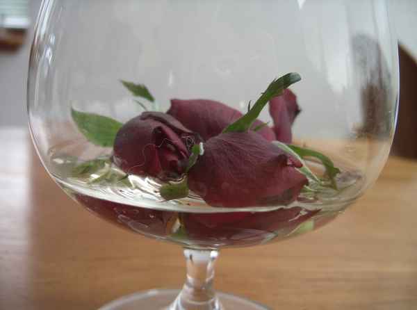 Wasserrosen...