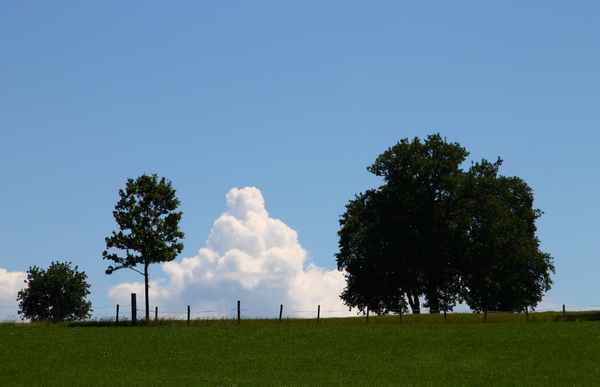 Natur.Formen