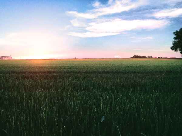 Der letzte Sonnenstrahl