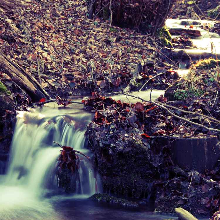 Herbst, der eigentlich Winter sein sollte