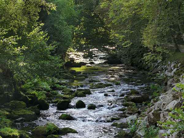 Enz im Kurpark Bad Wildbad