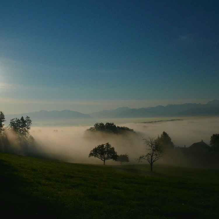 Sonnenaufgang im Nebel