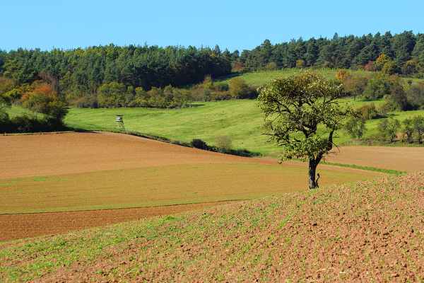 Über Feld und Flur