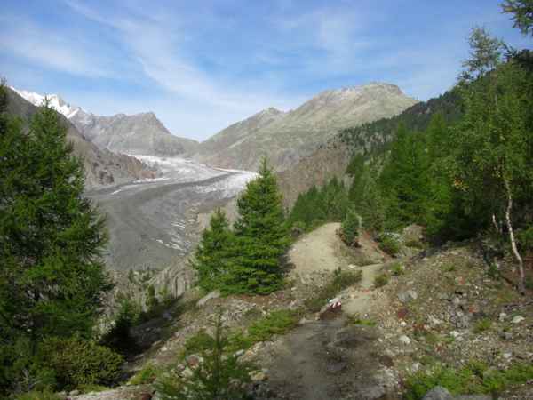 Blick auf den Aletschgletscher / 2