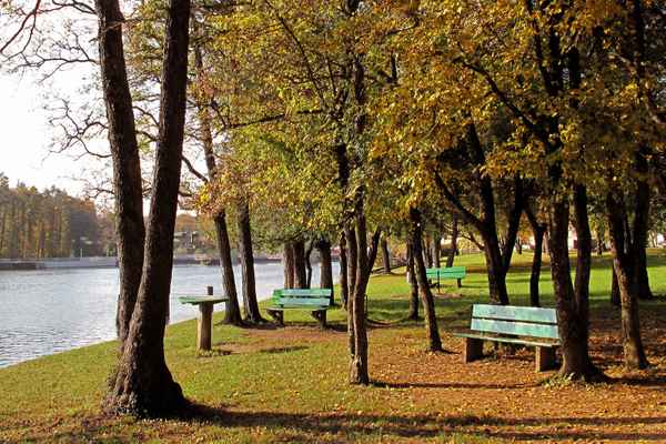 Wo sind die Sonnenanbeter?