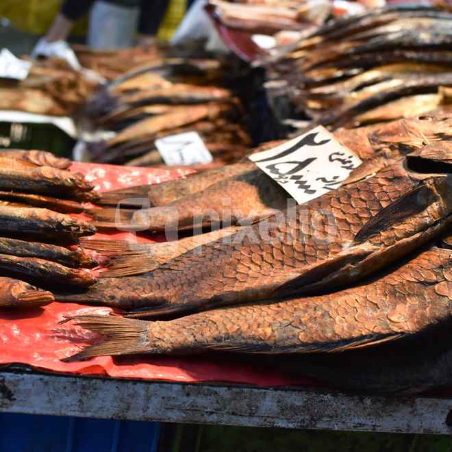 Fish in local market