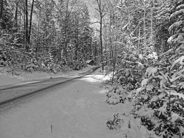 Winter im Welzheimer Wald