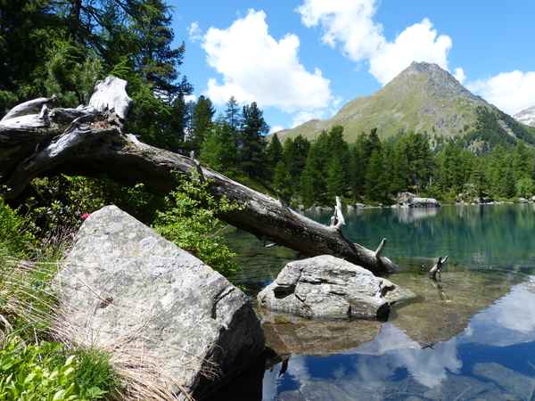 Saoseosee in der Schweiz