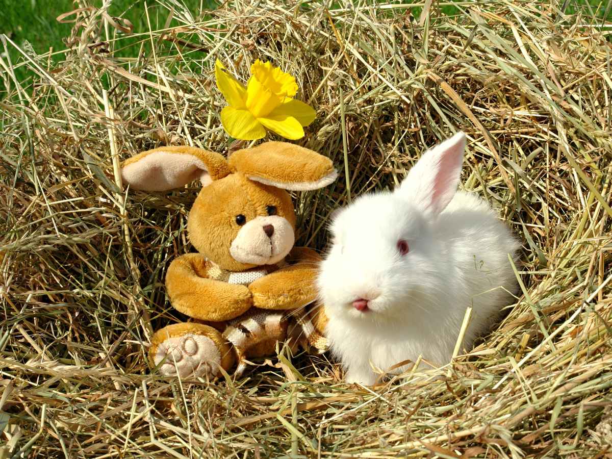 Ätsch, ich hab Feierabend!