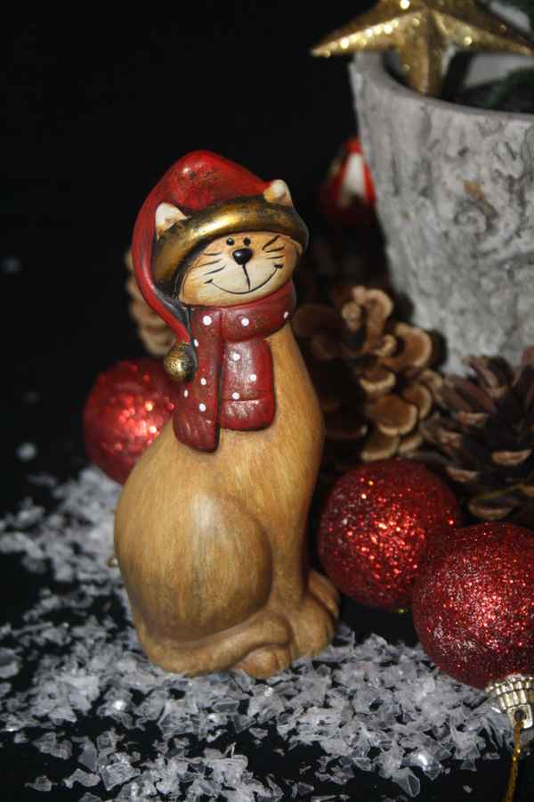 Weihnachtskatze
