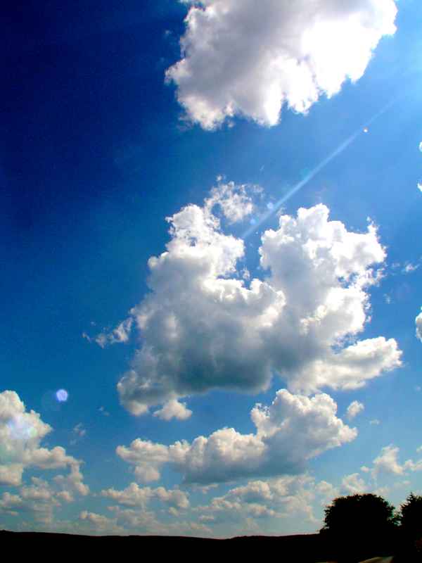 Weiß / blau 1
