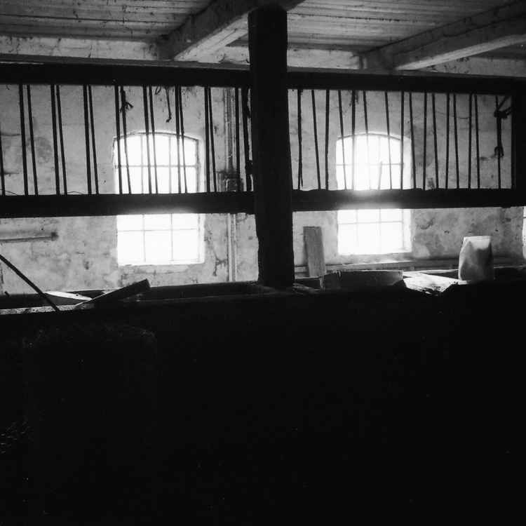 Stall im Gegenlicht
