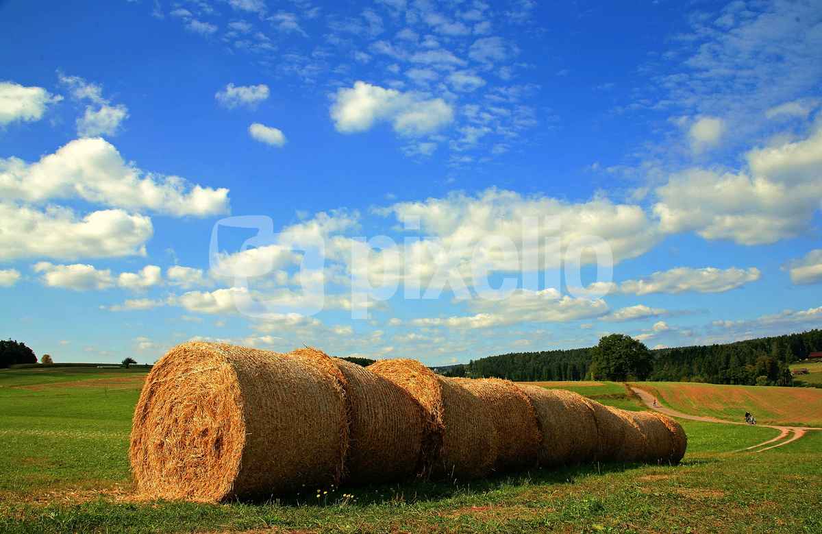 Herbstsonne auf den Feldern
