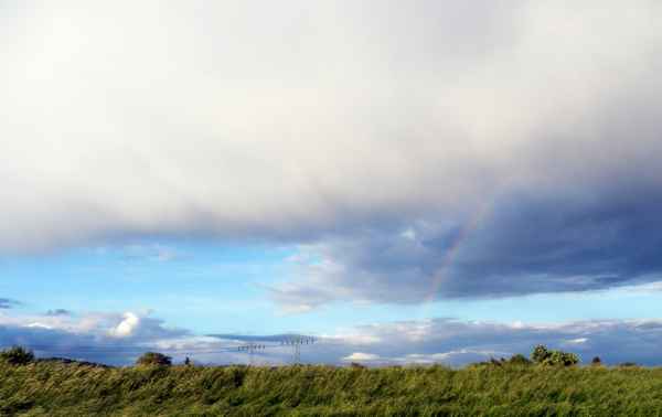 Nach dem Gewitter hinterm Deich