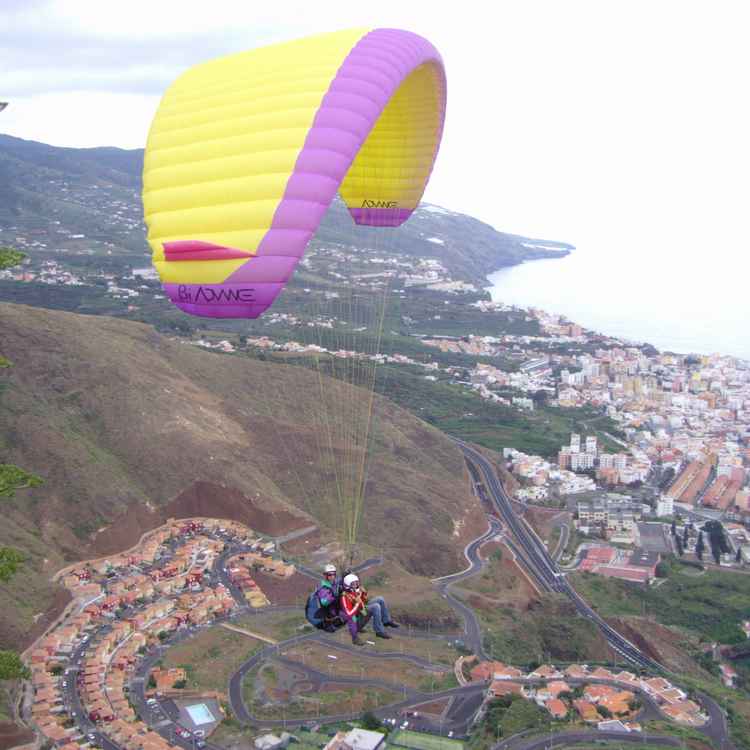 Paraglider
