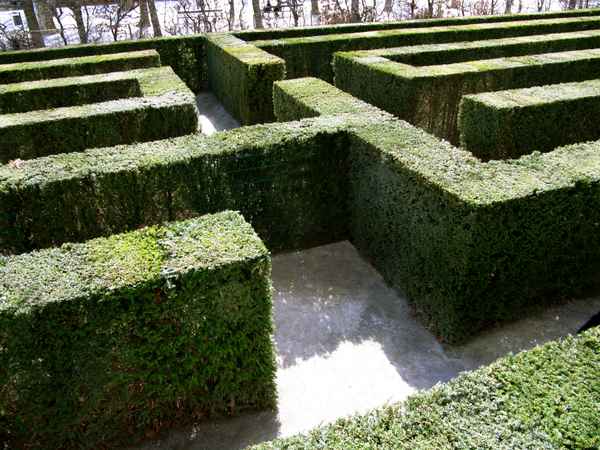 Irrgarten