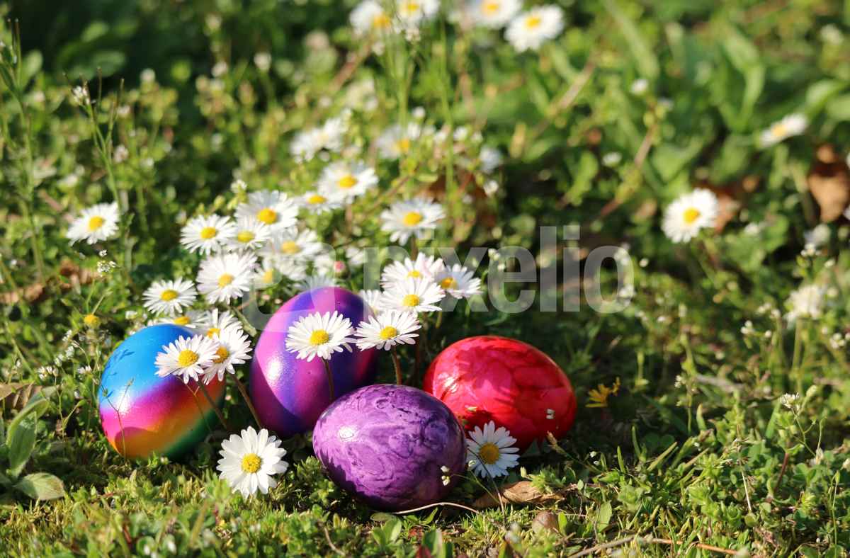 Frohe Ostern