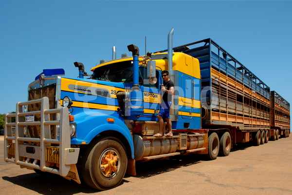 Road Train
