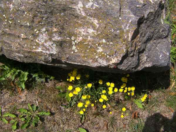  Gut versteckt