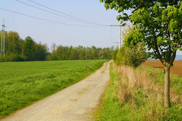 Feldweg nach Ringelheim