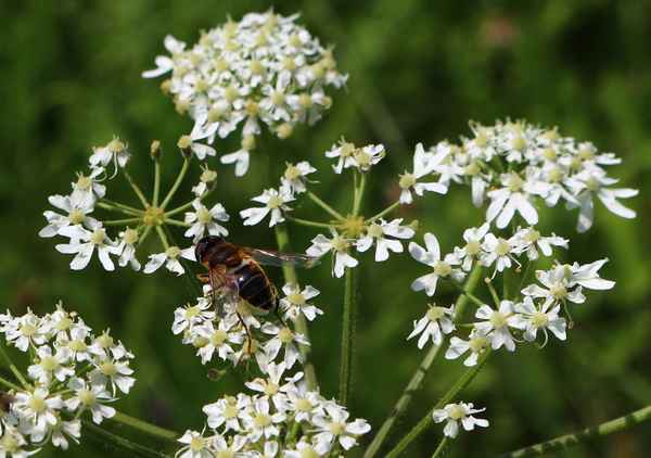 Noch jede Menge Arbeit