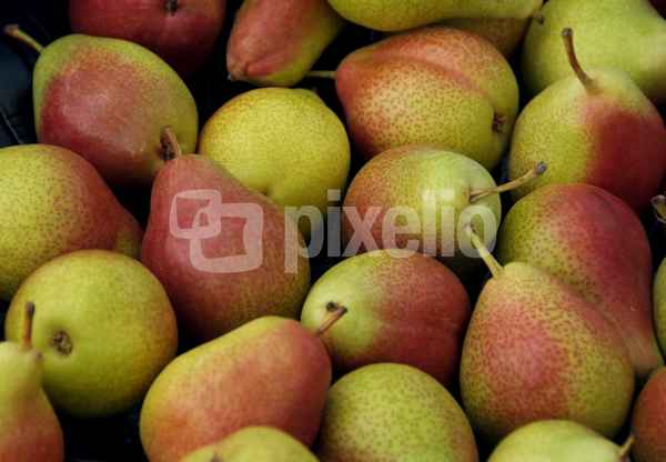 Bunte Birnen