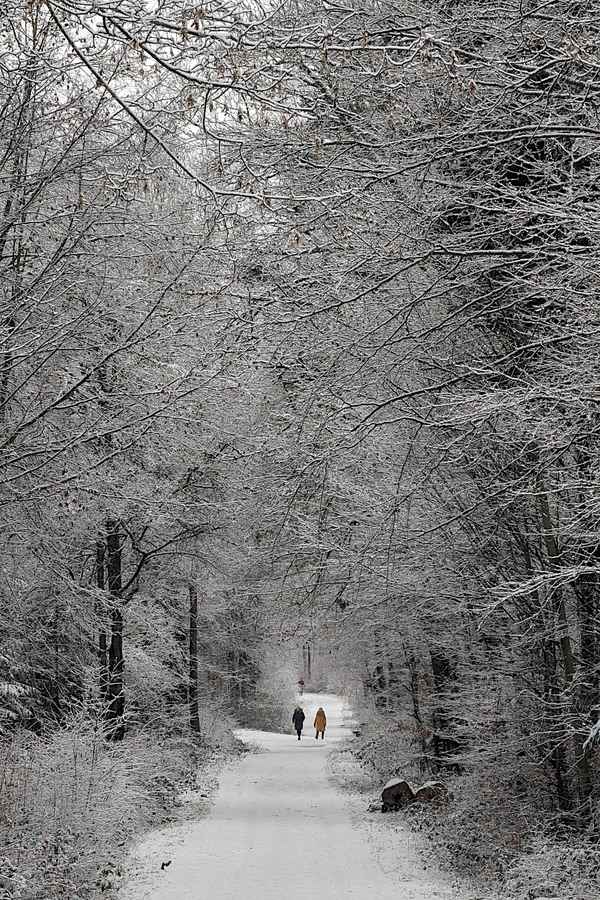 Winterspaziergang