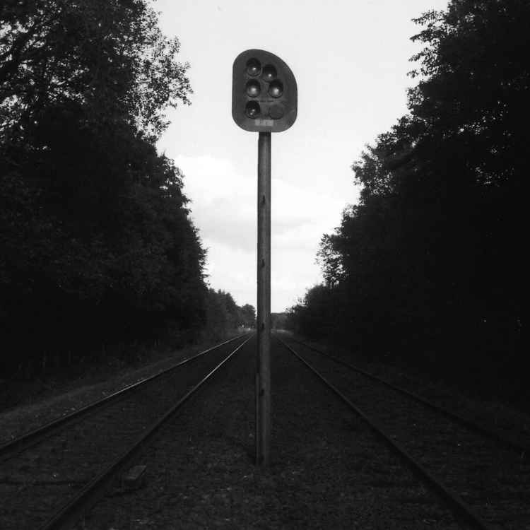 Signal