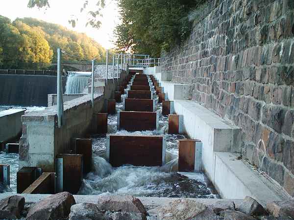  fischtreppe
