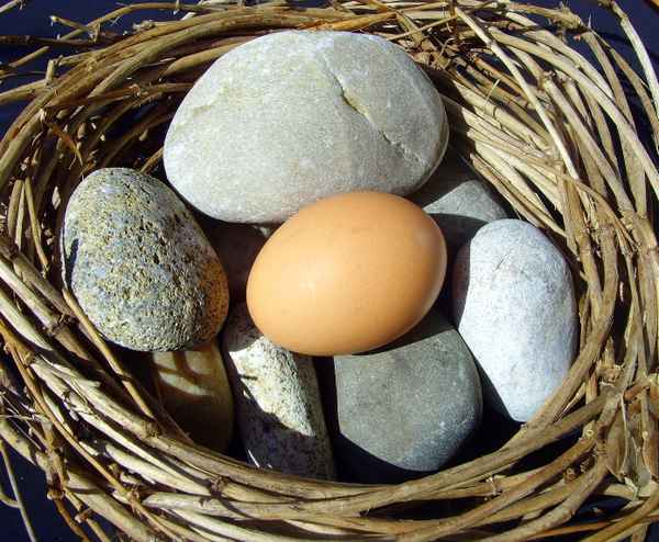 Das etwas andere Osternest