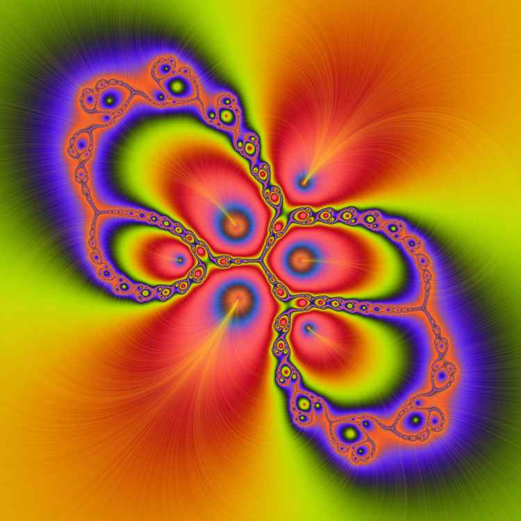 metamorphorsed butterfly