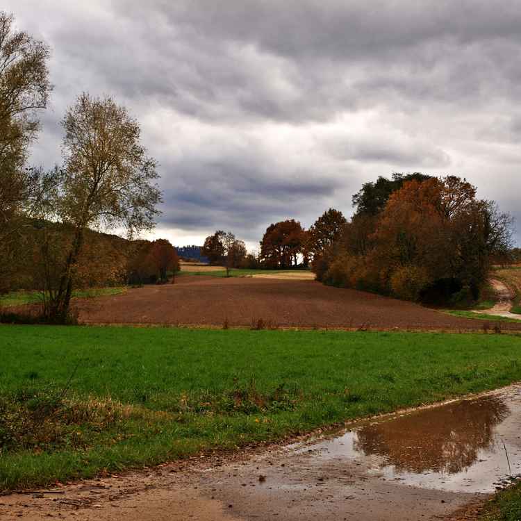 Nach dem Regen