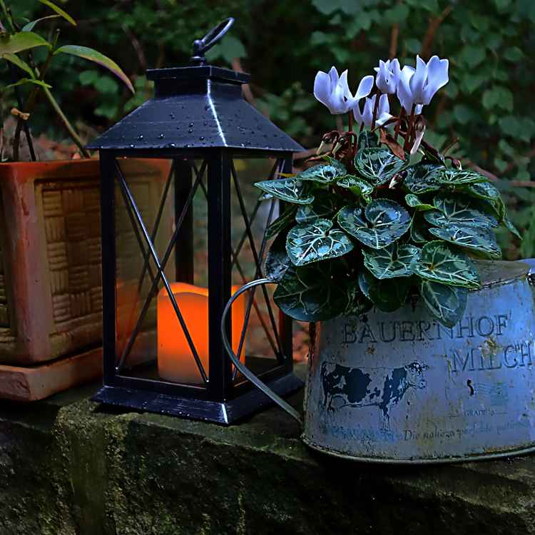 Herbstliche Dämmerung mit Laterne