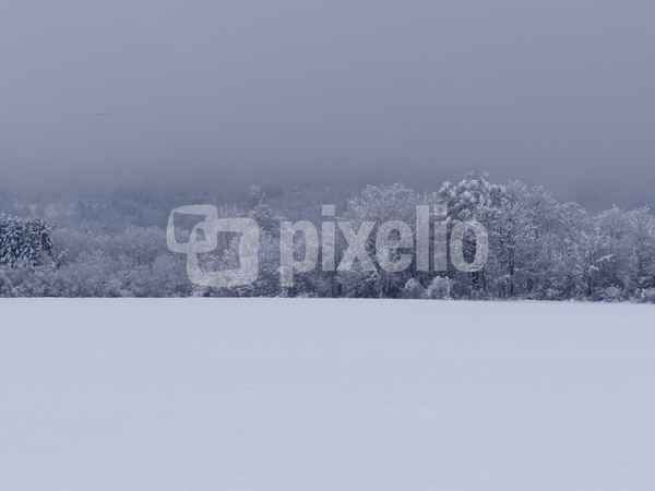 Schneelandschaft