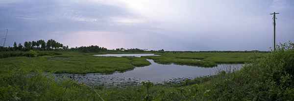 Benin - Landschaft zwischen Quiddah und Strand - Panorama