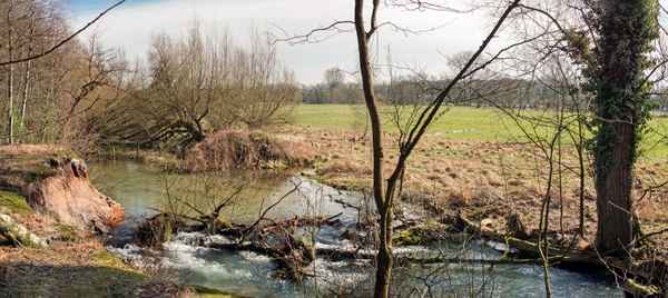 Am urwüchsigen Ufer der Lippe