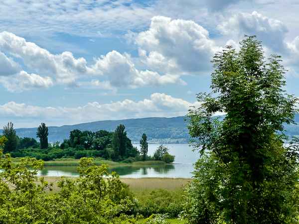 Bodensee Halbinsel Mettnau