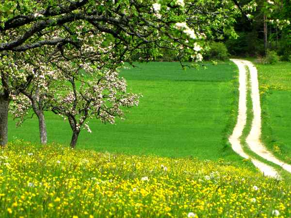 Blühende Landschaft