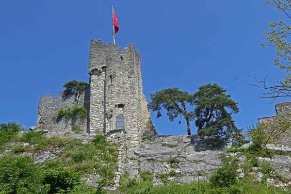 Ruine Stein (Baden/Sz)