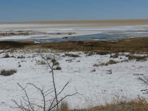 Salzsee (Etosha, Namibia)