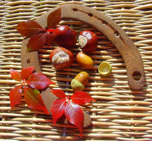Herbstglück