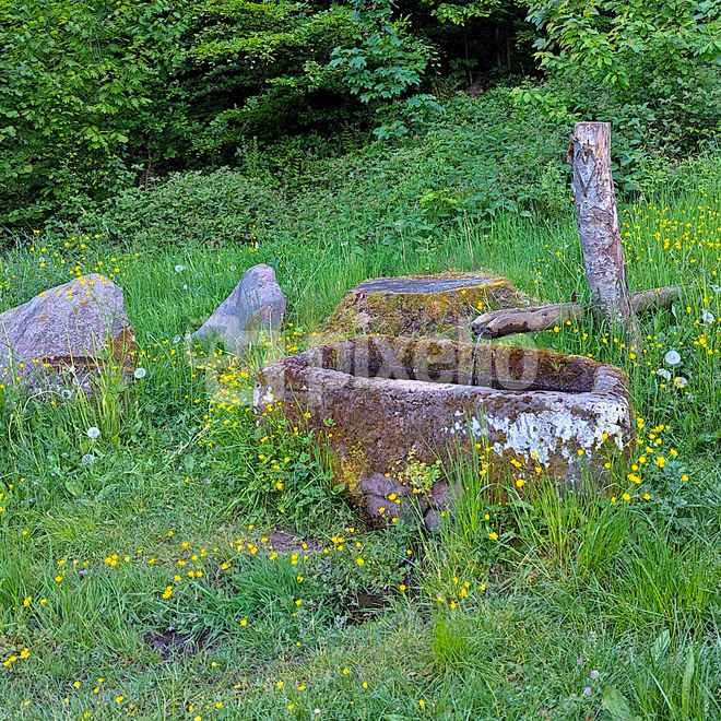 Tiertr&auml;nke am Enztalradweg bei H&ouml;fen