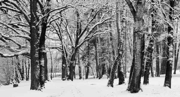 Winterliches Intermezzo