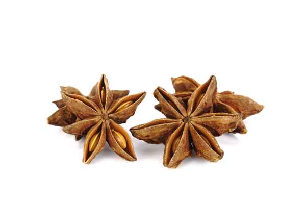 Sternanis 3