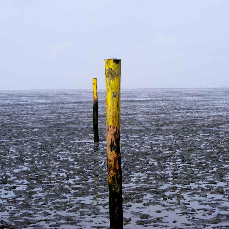 Wattenmeer