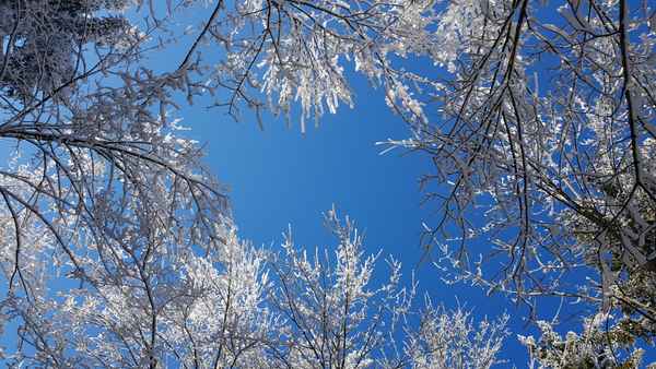 Blick zum blauen Himmel