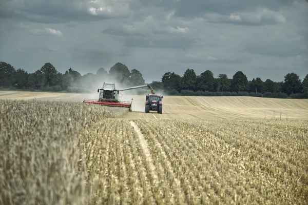 Getreideernte