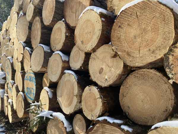 Holzstapel