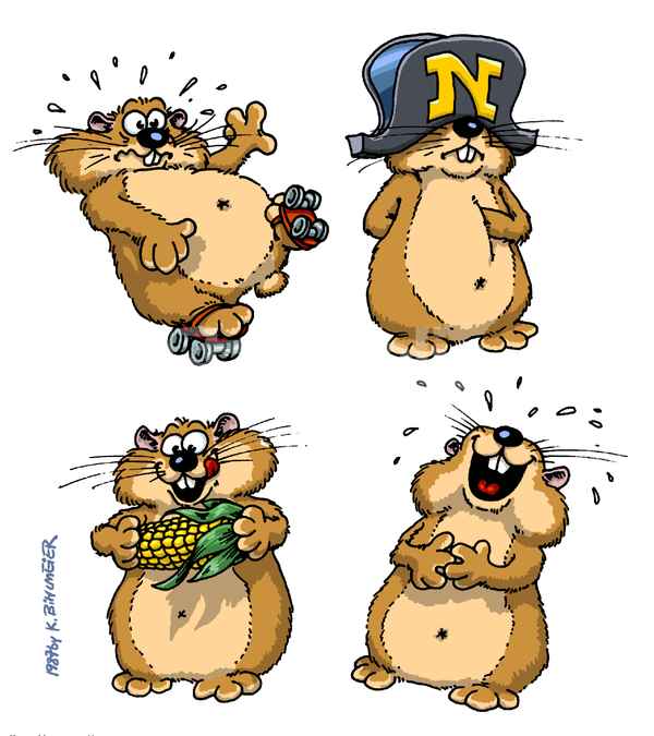 Hamster