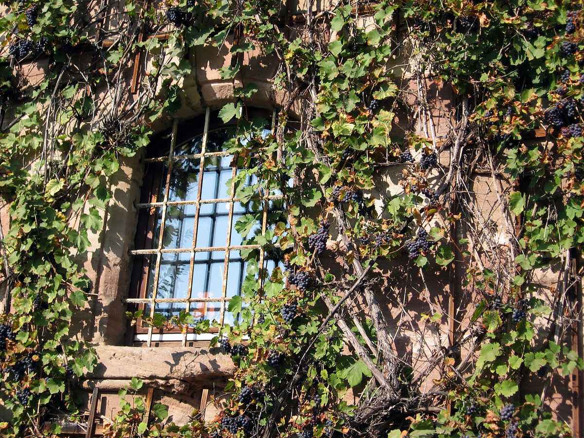 Vergessenes Märchenschloss